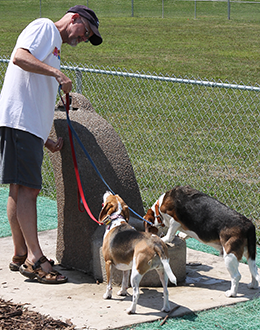 Park Forest Bark District