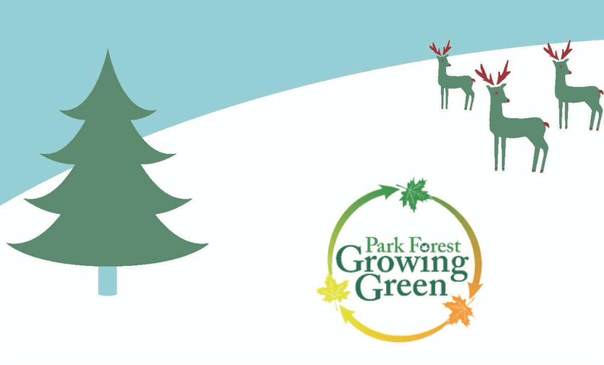 Recycle Christmas Trees and Lights 2019