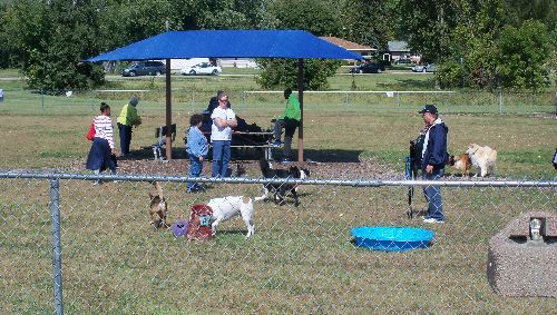 Bark Distrct view reduced