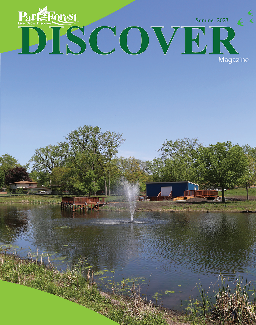 Discover mag nf size