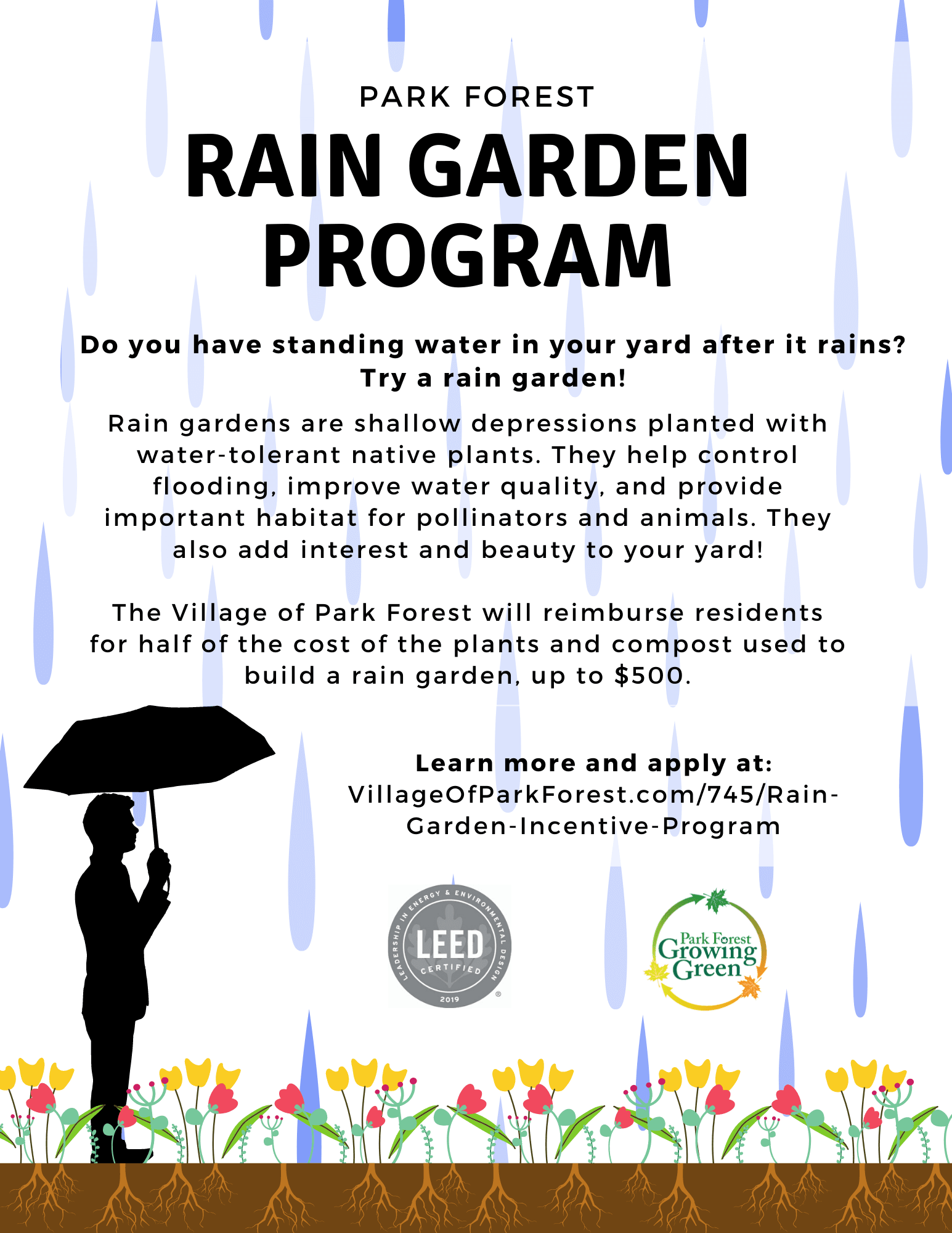 Rain garden program