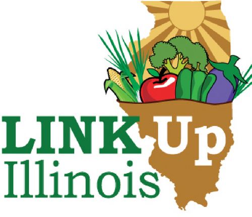 Link Up Illinois Logo